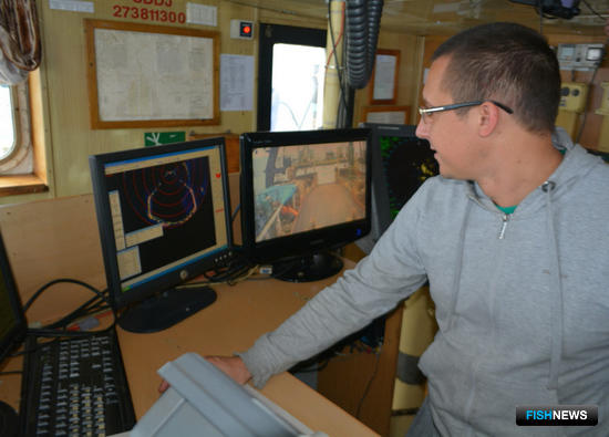 Ученые собрали данные по сельди и мойве на Северном бассейне