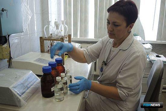 Ученые считают важным следить за Пиленгой после аварии бензовоза