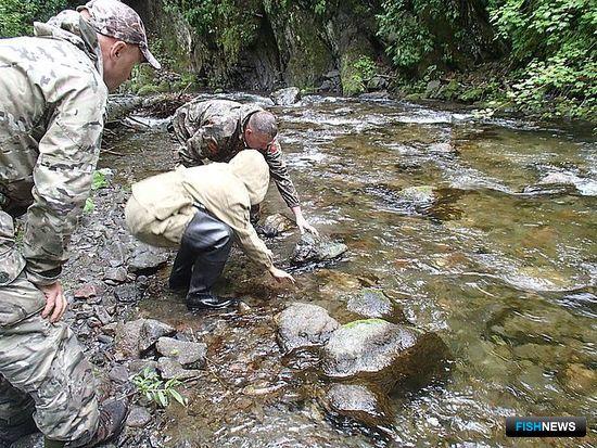 Ученые считают важным следить за Пиленгой после аварии бензовоза