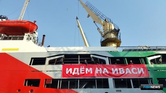 Иваси в зоне Японии снова подешевела Иваси в зоне Японии снова подешевела