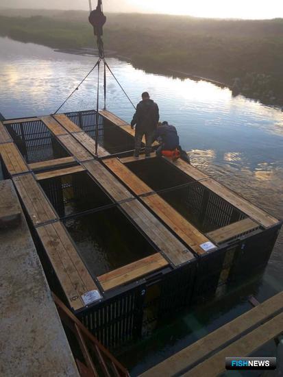 На Северных Курилах развивают рыбоводство На Северных Курилах развивают рыбоводство