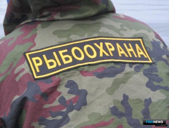 Плановые проверки убрали из регламента рыбоохраны