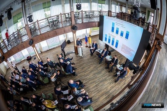 Судак Верхней Волги ждет помощи