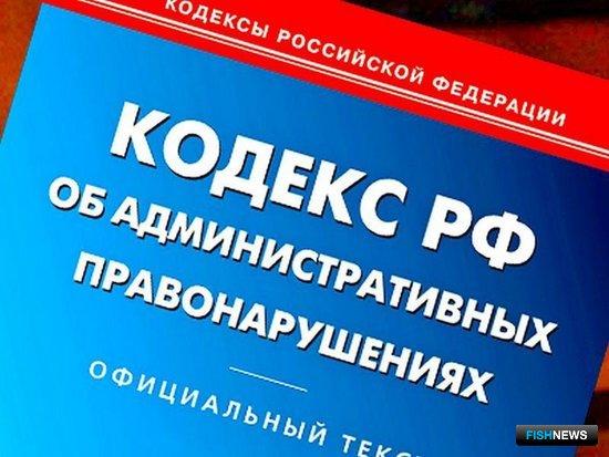 Торговлю «краснокнижным» мальком пресекли в интернете Торговлю «краснокнижным» мальком пресекли в интернете