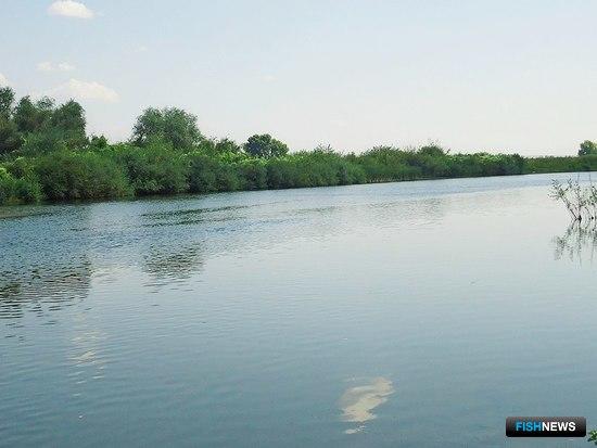 Акватории Зауралья разыграют на торгах