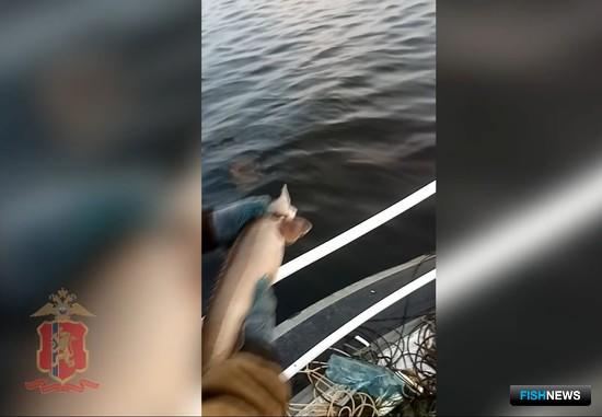 Браконьеров оставили без «краснокнижного» улова Браконьеров оставили без «краснокнижного» улова