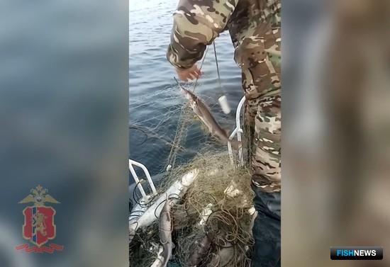 Браконьеров оставили без «краснокнижного» улова Браконьеров оставили без «краснокнижного» улова