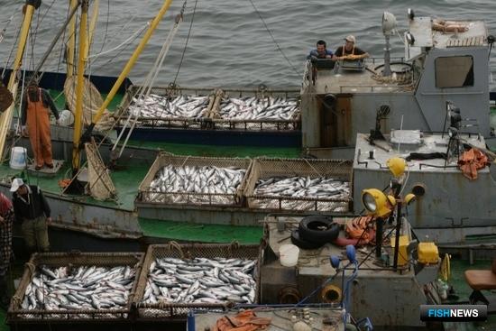 Путина выходит на финальный этап Путина выходит на финальный этап