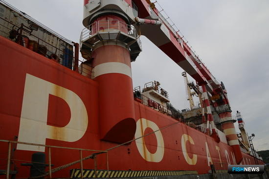 Рыбные рейсы по Севморпути хотят поставить на регулярную основу