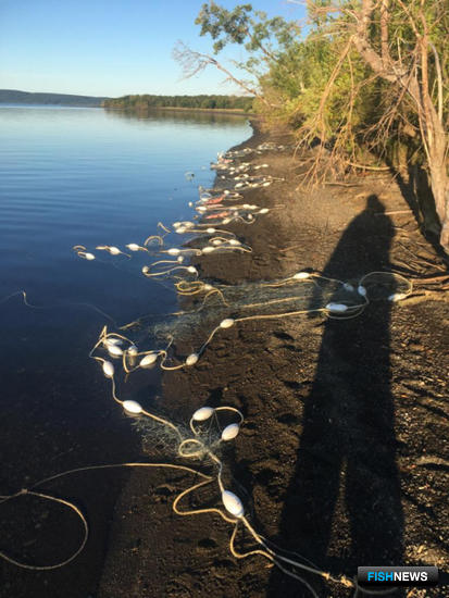 Бывалых браконьеров поймали на реке Камчатке