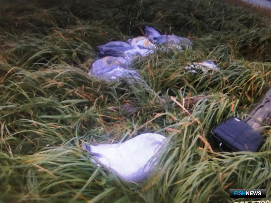 Бывалых браконьеров поймали на реке Камчатке