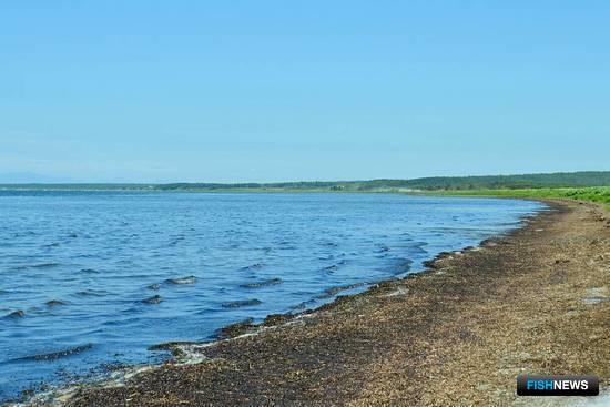 Лагуну Буссе обустроят для туристов