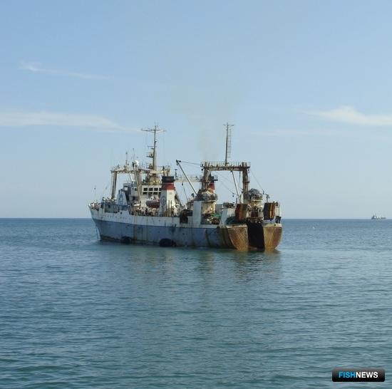 Работодателей ждет новый приказ об иностранцах в экипажах Работодателей ждет новый приказ об иностранцах в экипажах