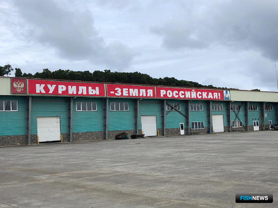 Наука поможет взять &laquo;рыбный максимум&raquo; от Южных Курил