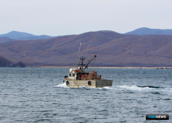 Специфику маломерного флота учли в правилах выдачи промбилетов