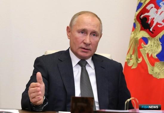 Глава Камчатки рассказал о перспективах доставки рыбы по Севморпути Глава Камчатки рассказал о перспективах доставки рыбы по Севморпути