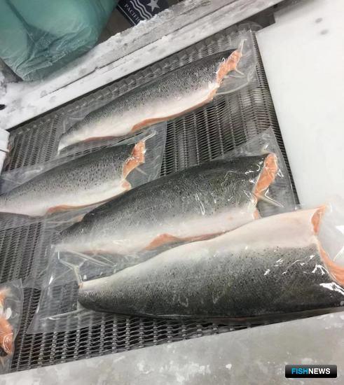 Рыбопродукция Чили ждет электронного оформления