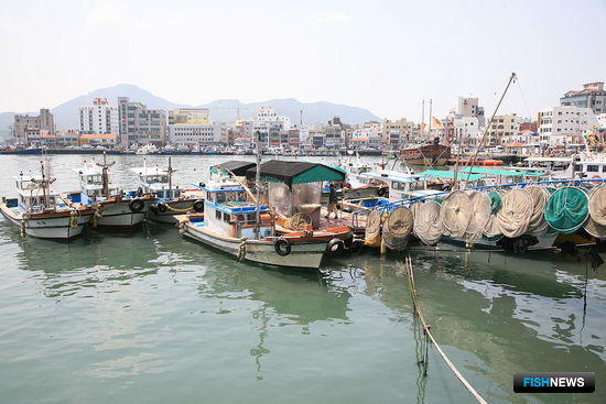 По корейскому заливу ударил замор По корейскому заливу ударил замор