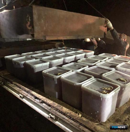 Браконьерская икра пряталась под металлоломом