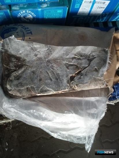 Рыба с Севморпути прошла ветконтроль Рыба с Севморпути прошла ветконтроль