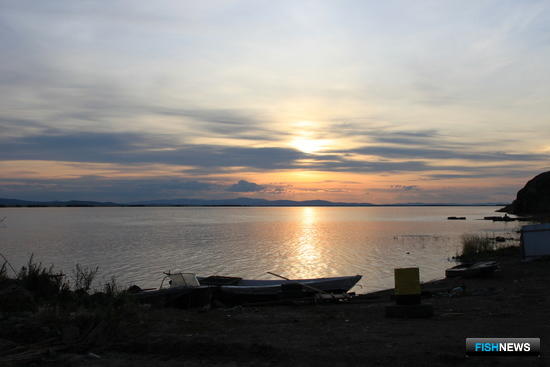 В низовьях Амура пресекли браконьерский лов кеты В низовьях Амура пресекли браконьерский лов кеты