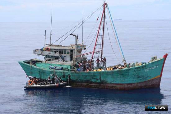 Аналитика поможет Индонезии бороться с браконьерством