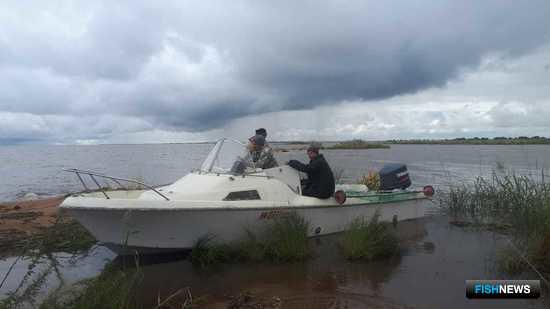 Наука обратила внимание на промысловые ресурсы Ханки