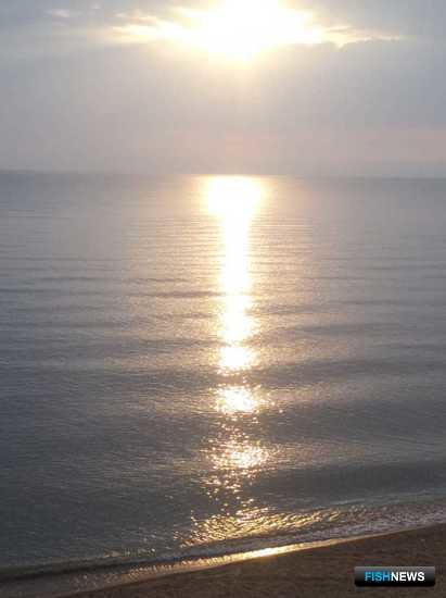 Наука обратила внимание на промысловые ресурсы Ханки