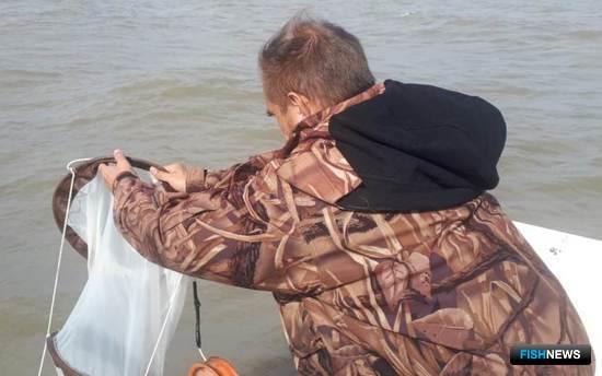 Наука обратила внимание на промысловые ресурсы Ханки