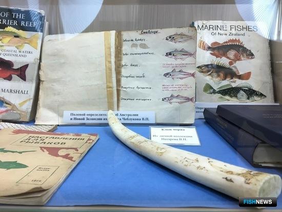 Обновленный морской музей ТИНРО принял первых гостей