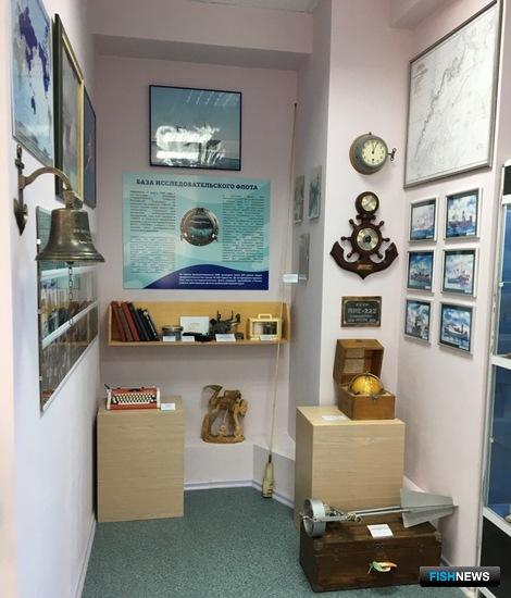 Обновленный морской музей ТИНРО принял первых гостей