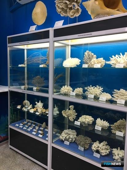 Обновленный морской музей ТИНРО принял первых гостей