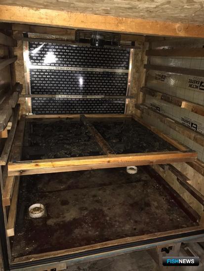 Трепанга Приморья спасают от браконьеров Трепанга Приморья спасают от браконьеров