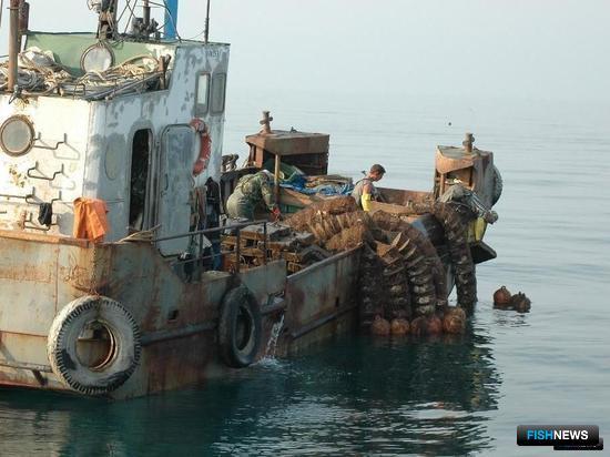 В классификаторе для аквакультуры прописали суда