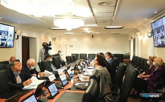 Сенаторы озаботились проблемой &laquo;прибрежки&raquo;