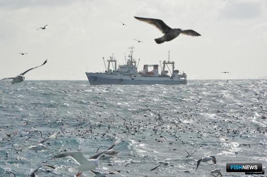 Рыбакам определили ОДУ
