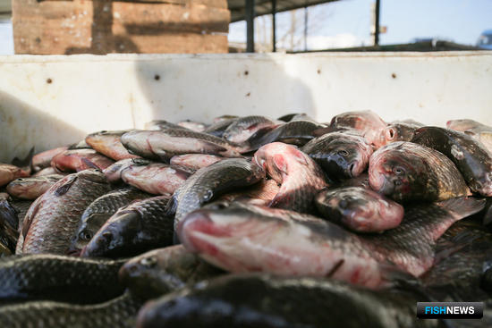 Градообразующий статус потеряет еще одно предприятие Градообразующий статус потеряет еще одно предприятие