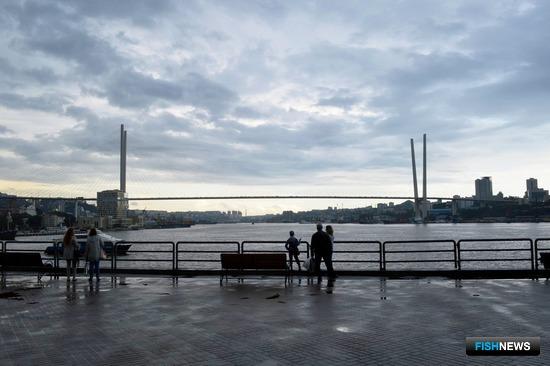 Общественный совет обратится к нацпрограмме развития Дальнего Востока