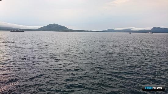 Тесты помогут рыбакам продолжать работу в пандемию