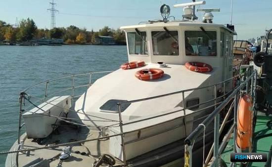 АзНИИРХ продолжит изучение рыбной молоди Дона АзНИИРХ продолжит изучение рыбной молоди Дона