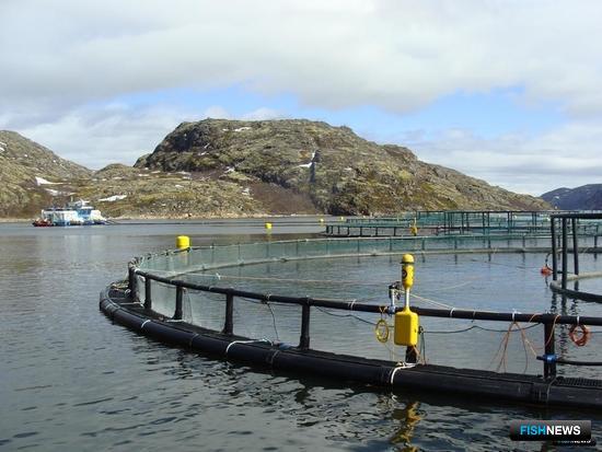 Минсельхоз выпустил правила для работы с биологическими отходами Минсельхоз выпустил правила для работы с биологическими отходами