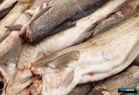 По инвестиционным квотам вышли изменения