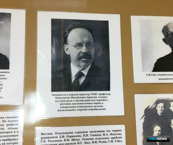 Нескучная история Нескучная история