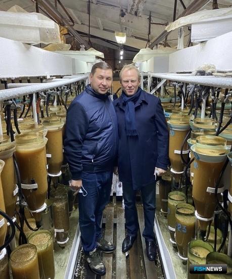 Рыбоводы вышли на новый рекорд по омулю