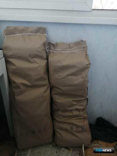 Точки нелегальной переработки трепанга накрыли в Приморье