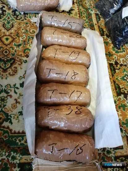 Точки нелегальной переработки трепанга накрыли в Приморье