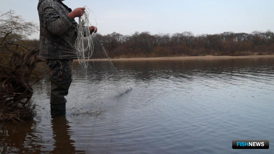Группа браконьеров попалась на кете