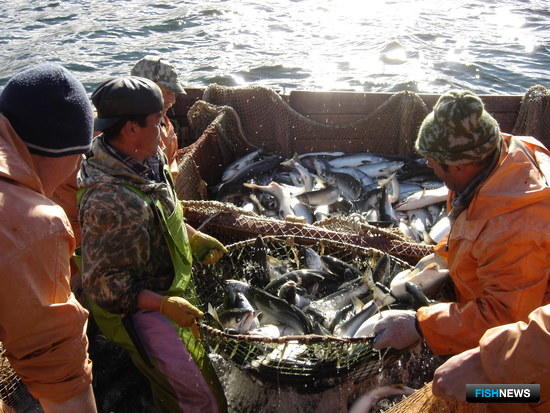 Не Амуром единым