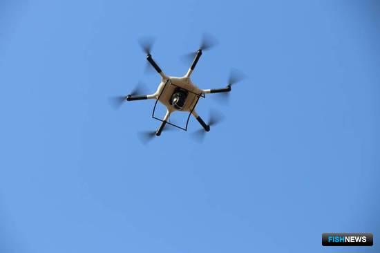 На помощь рыболовам Сахалина прилетят беспилотники На помощь рыболовам Сахалина прилетят беспилотники