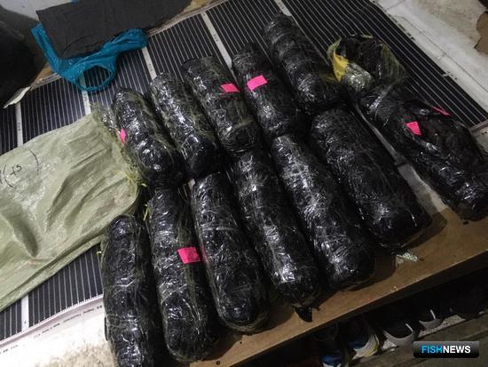 Браконьерский трепанг не дождался контрабанды в КНР Браконьерский трепанг не дождался контрабанды в КНР